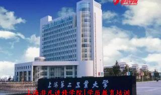 上海大学专科分数线