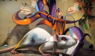 世界上最牛的立体画