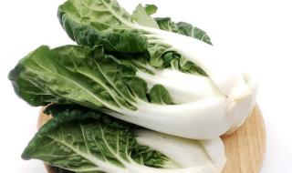 奶油白菜是哪个地方的菜