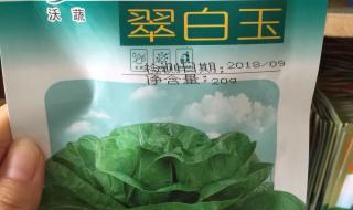 奶油白菜是哪个地方的菜
