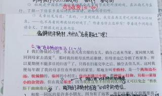 社戏的课文笔记整理