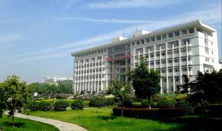 美术生最容易考的985大学