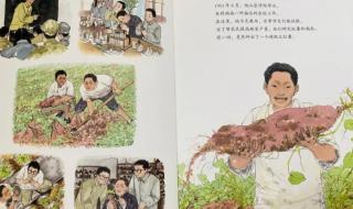一粒种子改变世界绘本