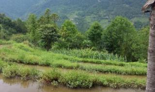 会当临绝顶一览众山小